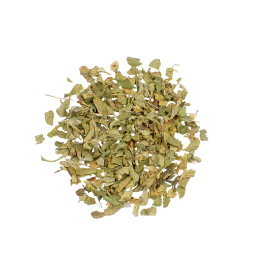 Oregano, Mexican (Lippia graveolens)