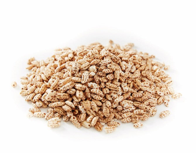 Puffed Barley