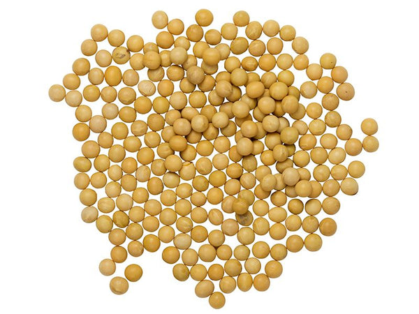 Soybeans, Golden