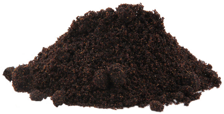 Elderberry Powder (Sambucus Nigra)