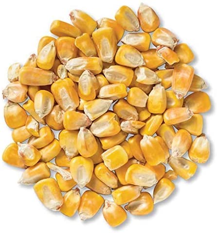 Yellow Corn Kernels (Not Treated with Lime)