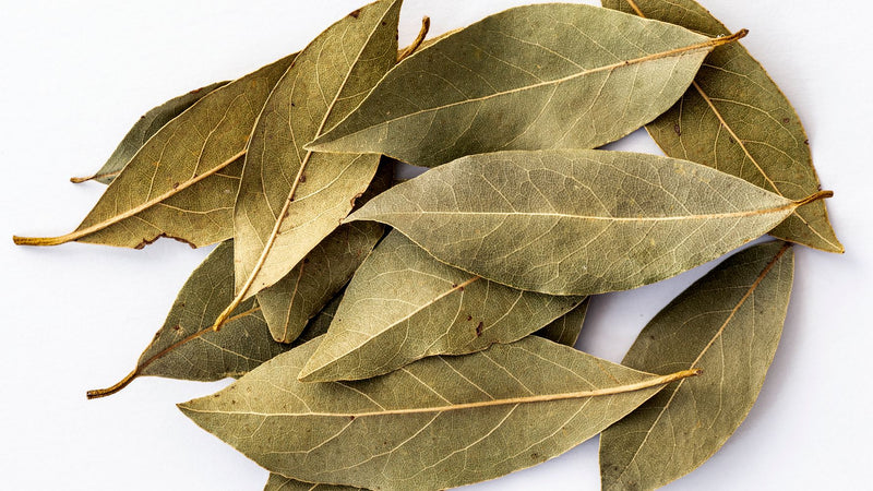 Bay Leaves, California (Umbellularia Californica), Dried Fresh