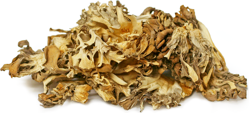 Maitake Mushroom (Hen of the Woods )