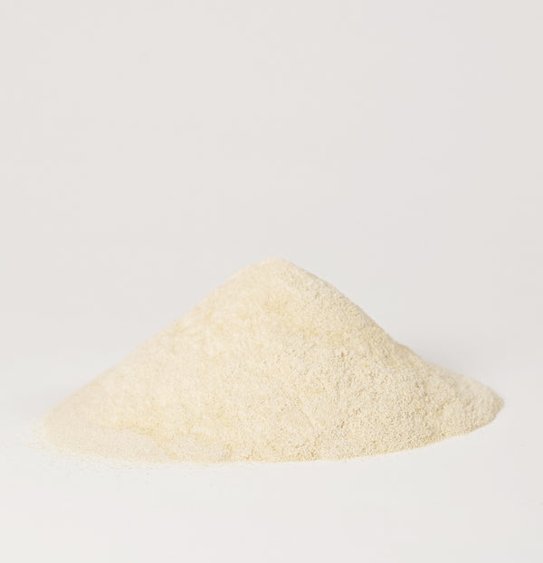 Aloe Vera Gel Powder (100x)