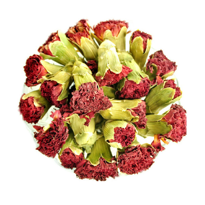 Miniature Carnation - Dianthus caryophyllus - Calyx Flowers, Inc