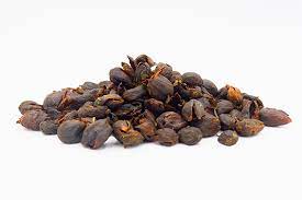 Cascara ( Coffee Fruit)