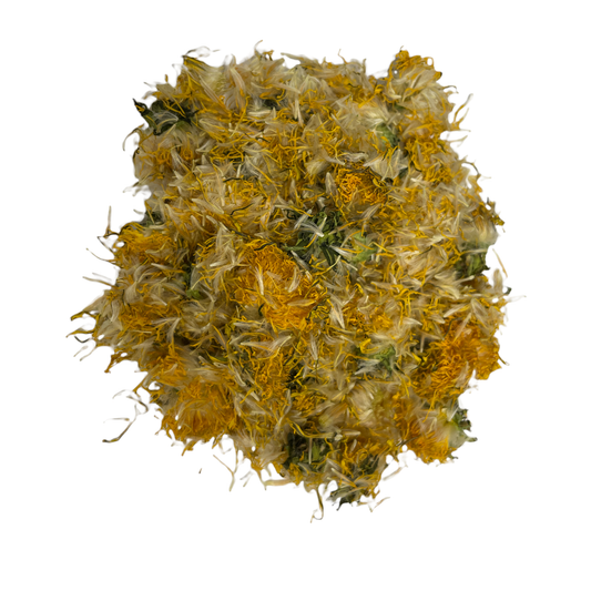 Dandelion Flowers (Taraxacum officinale)