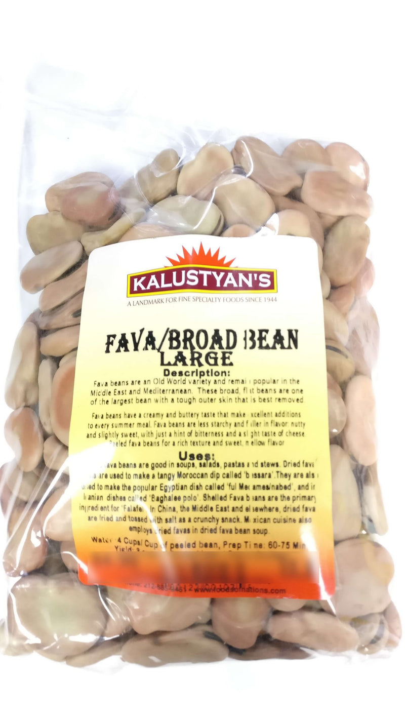 Fava Bean / Broad Bean, Large