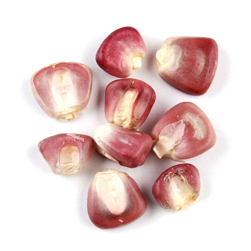 Red Corn Kernels (Not-treated with lime)