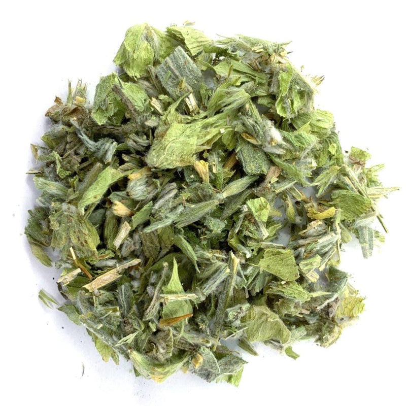 Greek Mountain Tea (Sideritis scardica)