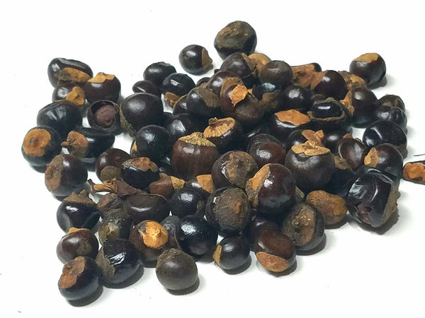Guarana Seed (Paullinia cupana)