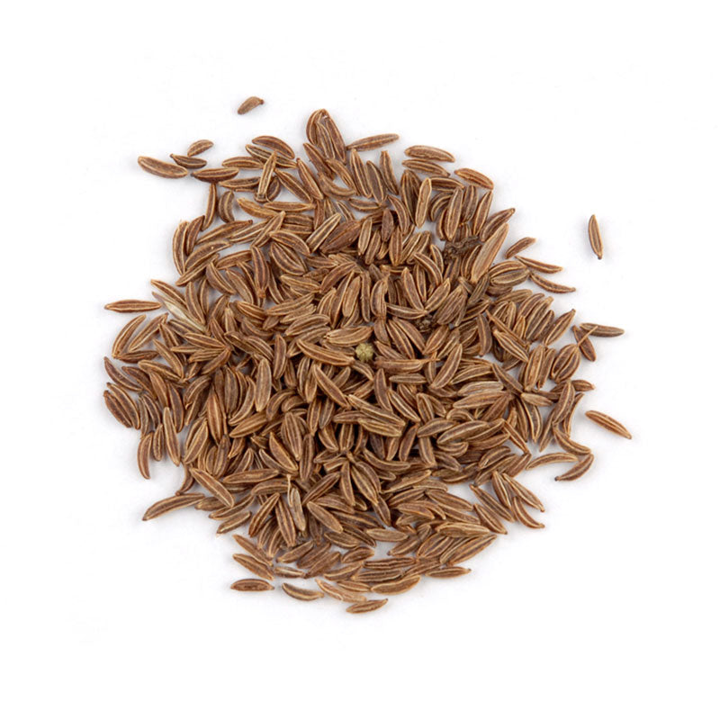 Caraway Seed (Carum carvi)