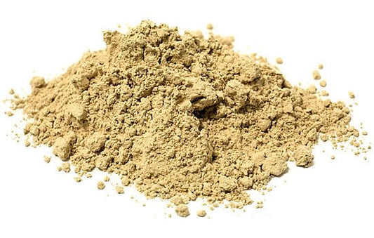 Maitake Mushroom ( Hen of the Woods) Powder