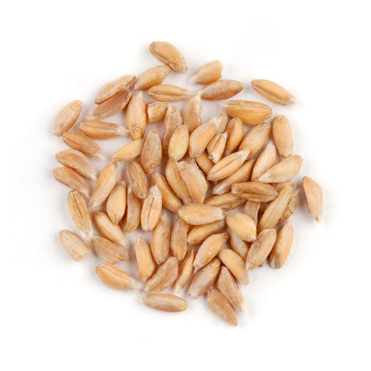 Farro (Emmer Faroo) Flour, Organic
