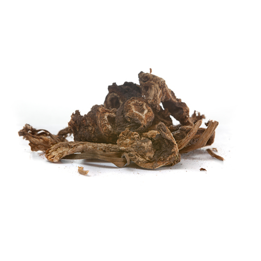 Osha Root (Ligusticum Porteri)