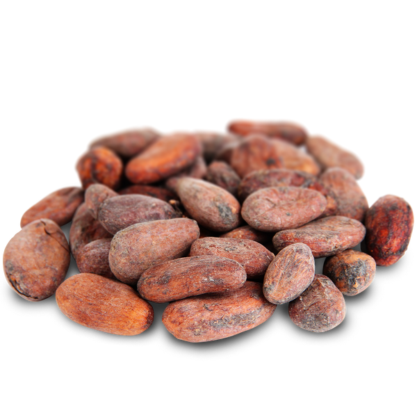 Cocoa Beans, Raw-Peeled