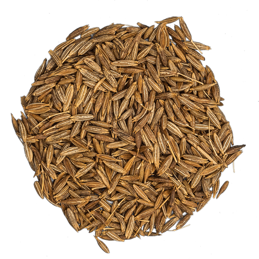 Cumin Seeds, Indian, Roasted