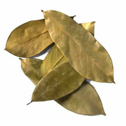 Soursop (Graviola) Leaf (Annoa Muricata)