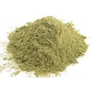 Aloe Vera (Aloe barbadensis, Curacao aloe) Juice Powder