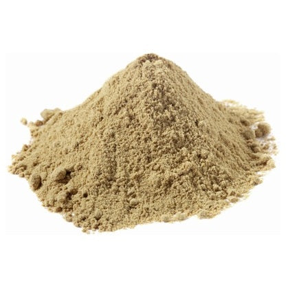 Brahmi / Bacopa (Bacopa monnieri), Powder