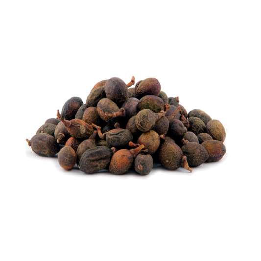 Bay Laurel Berries (Laurus Nobilis)