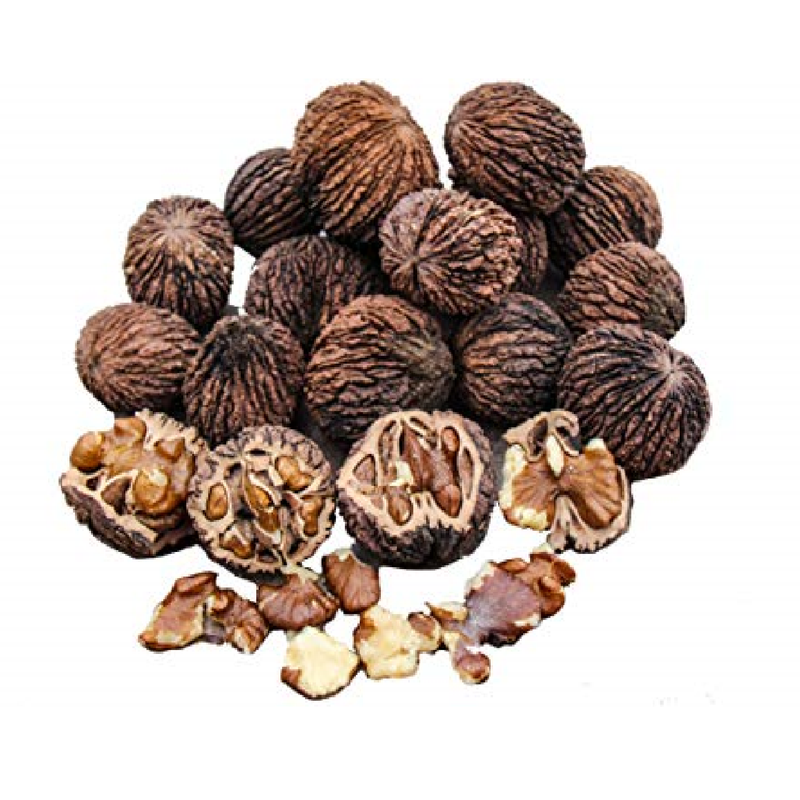 Black Walnut, Raw in Shell  (Juglans nigra)