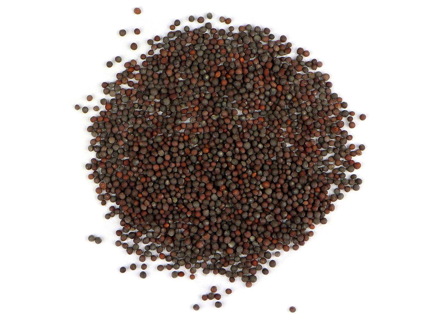 Mustard Seed Brown, Andhra