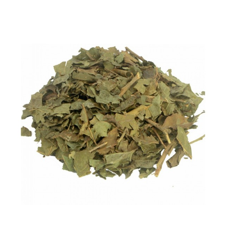 Chá de Bugre Leaf (Codia Ecalyculata)