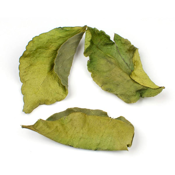 Kaffir Lime/ Makrut Lime, Dried Leaf (Citrus hystrix)