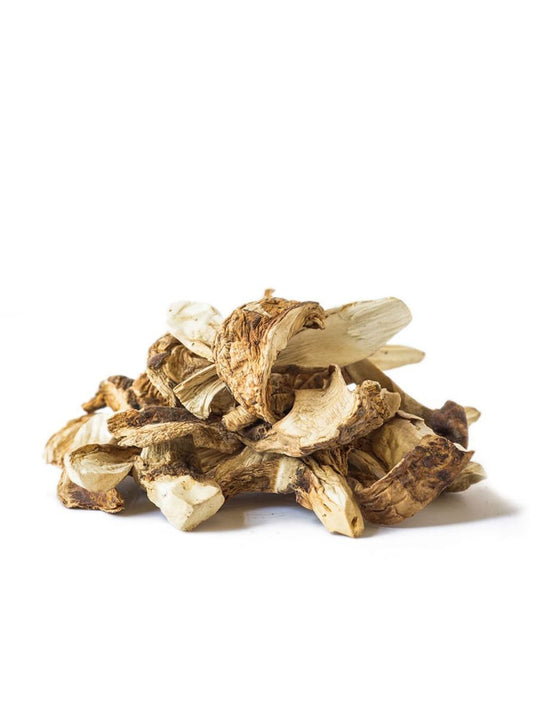 Matsutake (Pine) Mushroom