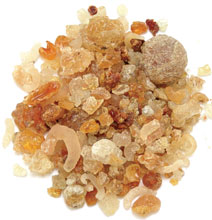 Gund, Edible Gum Crystal / Indian Gum Arabic / Char Gund ( Acacia Nilotica)