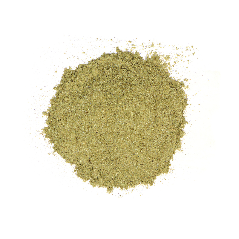 Horsetail Herb (Shavegrass/ Zinnkraut Herb), Powder (Equisetum Arvense)