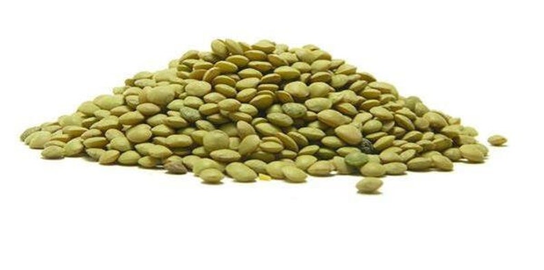 Greek Lentil, Organic