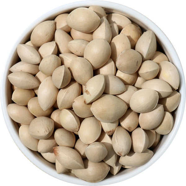 Gingko Nuts Raw in Shell Ginkgo biloba