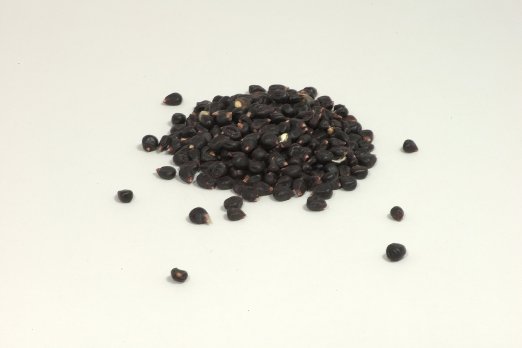 Purple Corn Kernel (not-treated with lime)